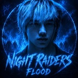 Telegram profile photo for Night Raiders info