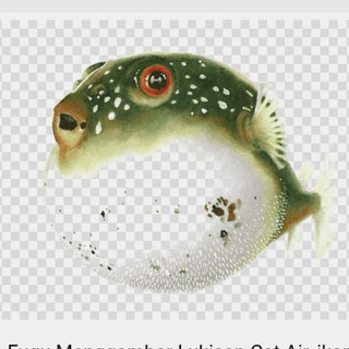 Telegram profile photo for Fugu Crypto Caller