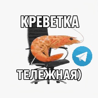 Telegram profile photo for Invisible Shrimp Stabilizer 🌐
