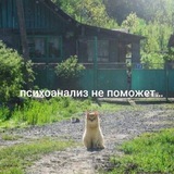 Telegram profile photo for кира не пишет стихи