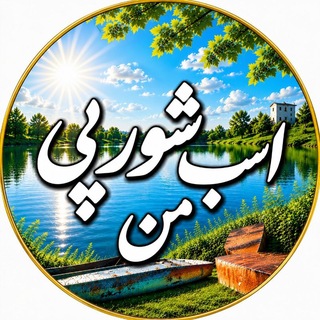Telegram profile photo for اَسب شورپِیِ مَن