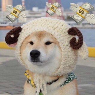 Telegram profile photo for Скидки Москвы