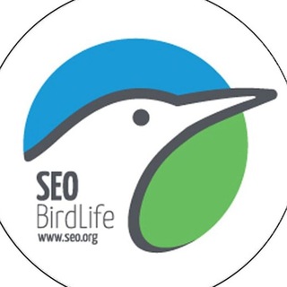 Telegram profile photo for SEO/BirdLife. Voluntariado