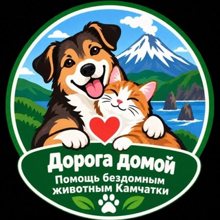 Telegram profile photo for ДОРОГА ДОМОЙ. Камчатка