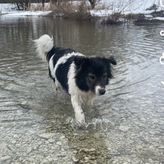 Telegram profile photo for Герда на связи