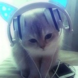 Telegram profile photo for мы ахуенны👅👅