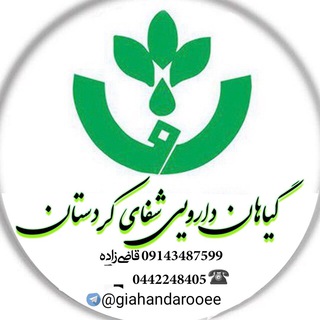 Telegram profile photo for طب سنتی وگیاهان دارویی شفای کردستان