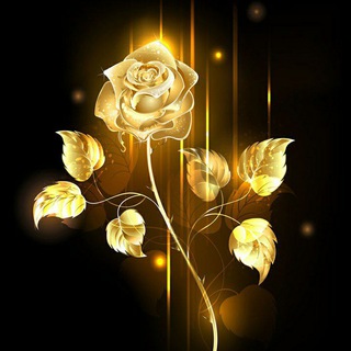 Telegram profile photo for زړه