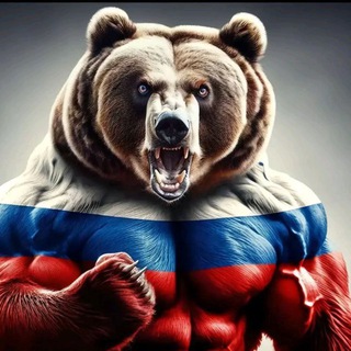 Telegram profile photo for Белгородский щит🇷🇺
