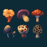 Telegram profile photo for Spore