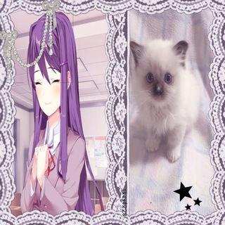 Telegram profile photo for переходник на архив