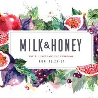 Telegram profile photo for Milk&Honey News
