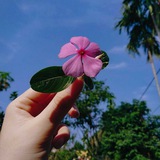 Telegram profile photo for گفته های پانیذ علیدخت