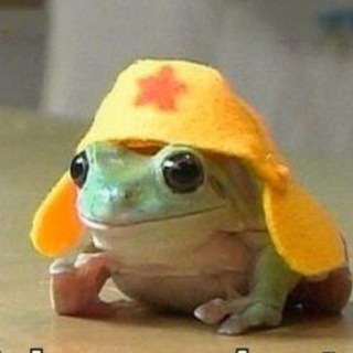 Telegram profile photo for Жабы и лягушки для каждого 🐸