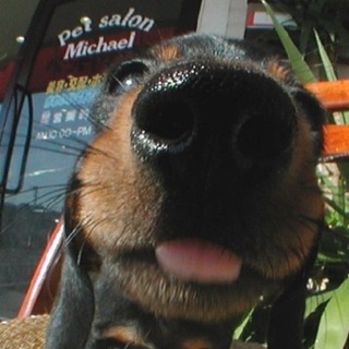 Telegram profile photo for я тима, или нет.