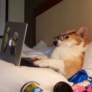 Telegram profile photo for гризли рисует