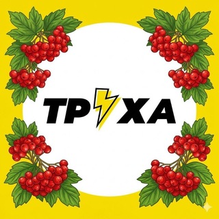 Telegram profile photo for Труха⚡Полтава | Світло