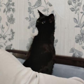 Telegram profile photo for Тут могла бы быть ваша реклама
