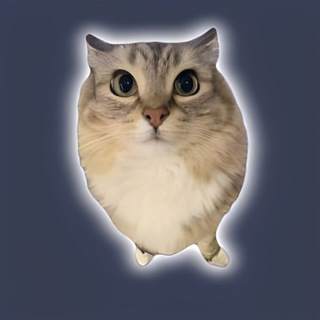 Telegram profile photo for Luna coin (public)
