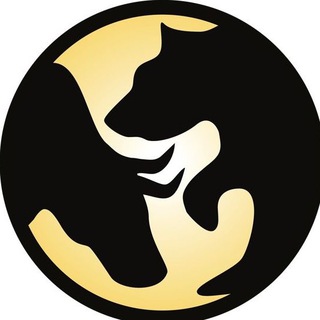 Telegram profile photo for π°π§π² CashFX Daily Trades π²π§π°