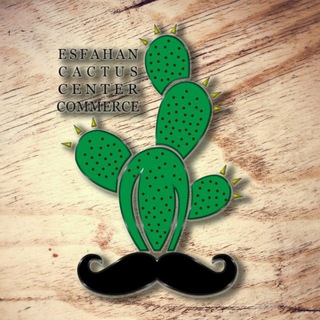 Telegram profile photo for کاکتوس سنتر اصفهان(بازرگانی مختاری)