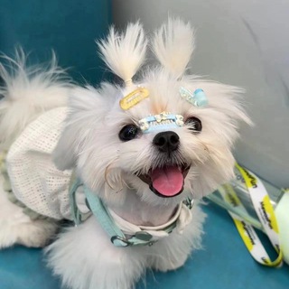 Telegram profile photo for Bella