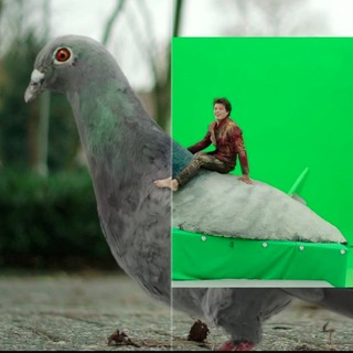 Telegram profile photo for VFX Breakdowns
