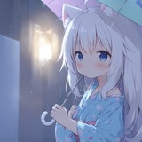 Telegram profile photo for 辛巴通知频道