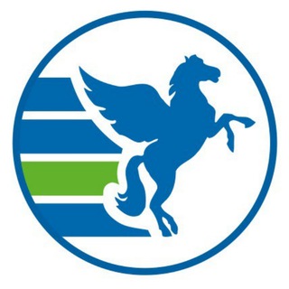 Telegram profile photo for ПЕГАС Ньютон🔥Горящие Туры ✈️🏝
