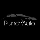 Telegram profile photo for PunchAuto