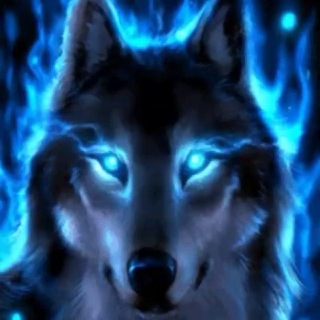 Telegram profile photo for Desktop_Telegram️