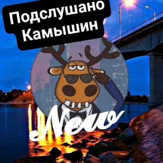 Telegram profile photo for Подслушано Камышин