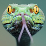 Telegram profile photo for Be Not Deceived