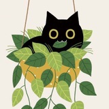 Telegram profile photo for 🪴Цветочный Дворик🌺Растения и уход