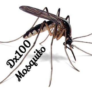 Telegram profile photo for |Dx100| Mosquito Likes