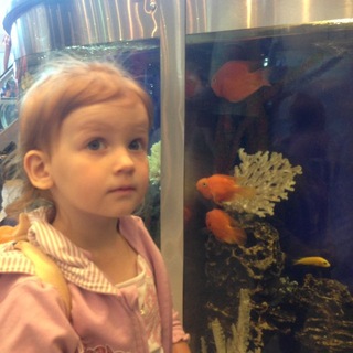 Telegram profile photo for rivinnela.