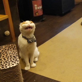 Telegram profile photo for Будни унылой понаехавшей