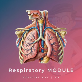 Telegram profile photo for Respiratory Module | MW