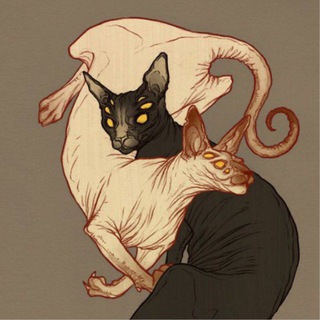 Telegram profile photo for ALIENCAT VOUCHES NEW 👽