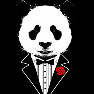 Telegram group profile photo for P⸽a⸽n⸽d⸽a⸽ ⸽D⸽i⸽v⸽u⸽l⸽g⸽a⸽ç⸽õ⸽e⸽s⸽