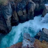 Telegram profile photo for Free Nature Clips 4k🌿🌳