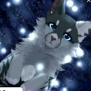 Telegram profile photo for Коты воители рисунки идеи