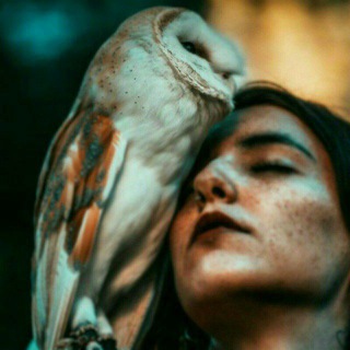 Telegram profile photo for I Love Owls🦉
