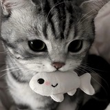 Telegram profile photo for NicheCraft | Community Server