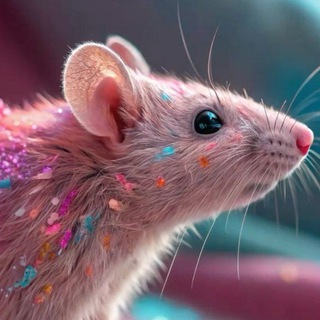 Telegram profile photo for злой лидер крыс 🐭
