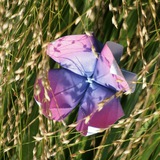 Telegram profile photo for Origamique Designs 🌸
