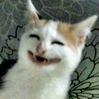 Telegram profile photo for میناب گنگ
