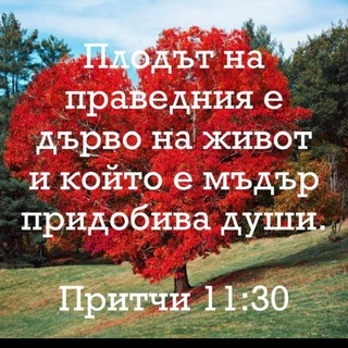 Telegram profile photo for С " БОЖИЕТО СЛОВО" всеки ден🕊