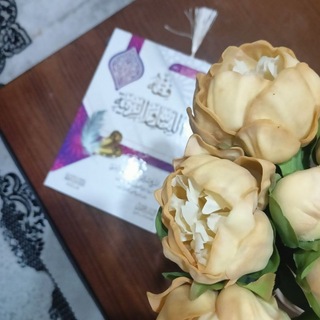 Telegram profile photo for قَبَسَــاتٌ 🪻