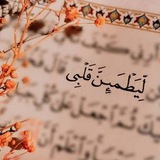 Telegram profile photo for آيات قرآنية